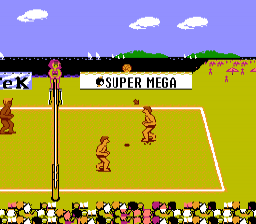 Venice Beach Volleyball gameplay screenshot